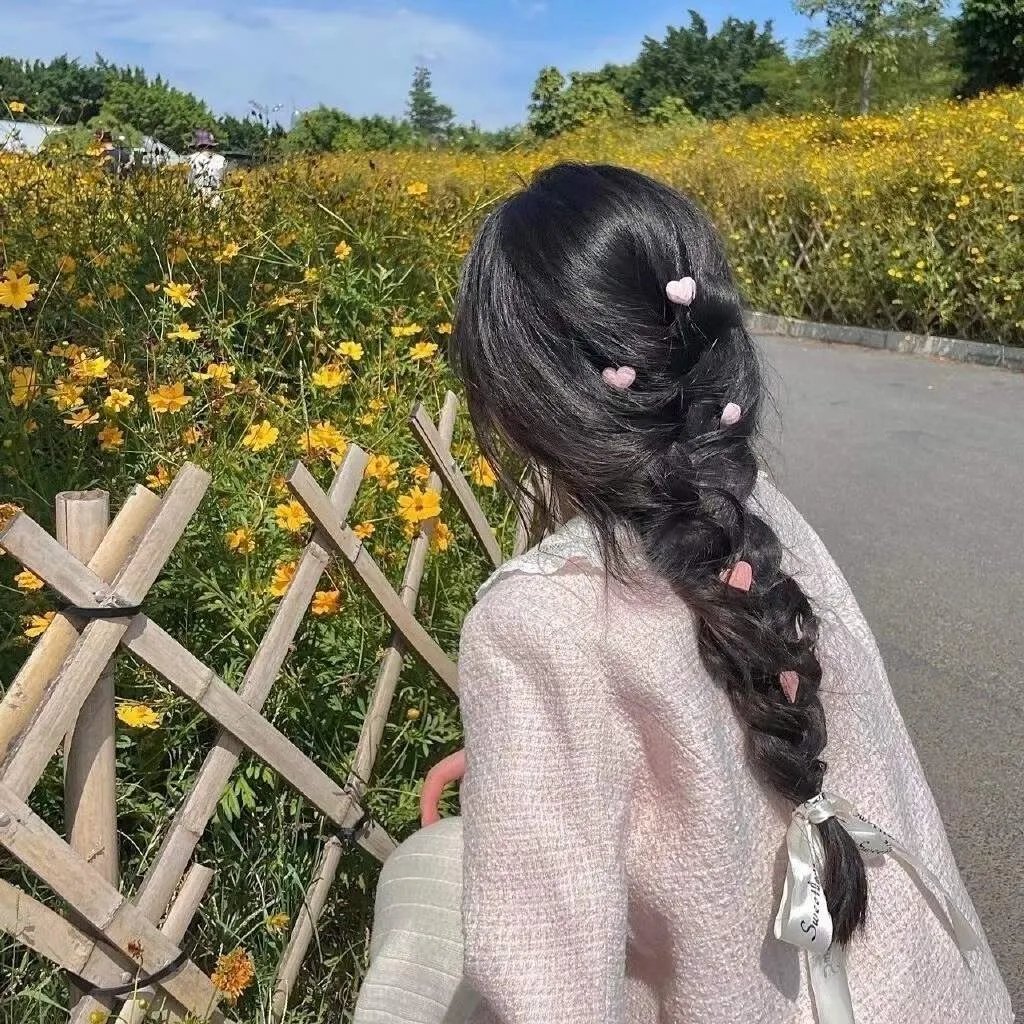 迪士尼乐园之梦